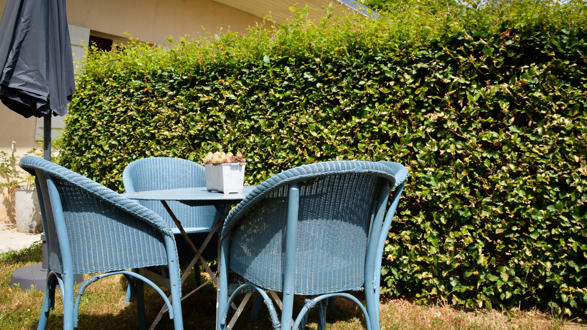 Veldgîte I - Terras